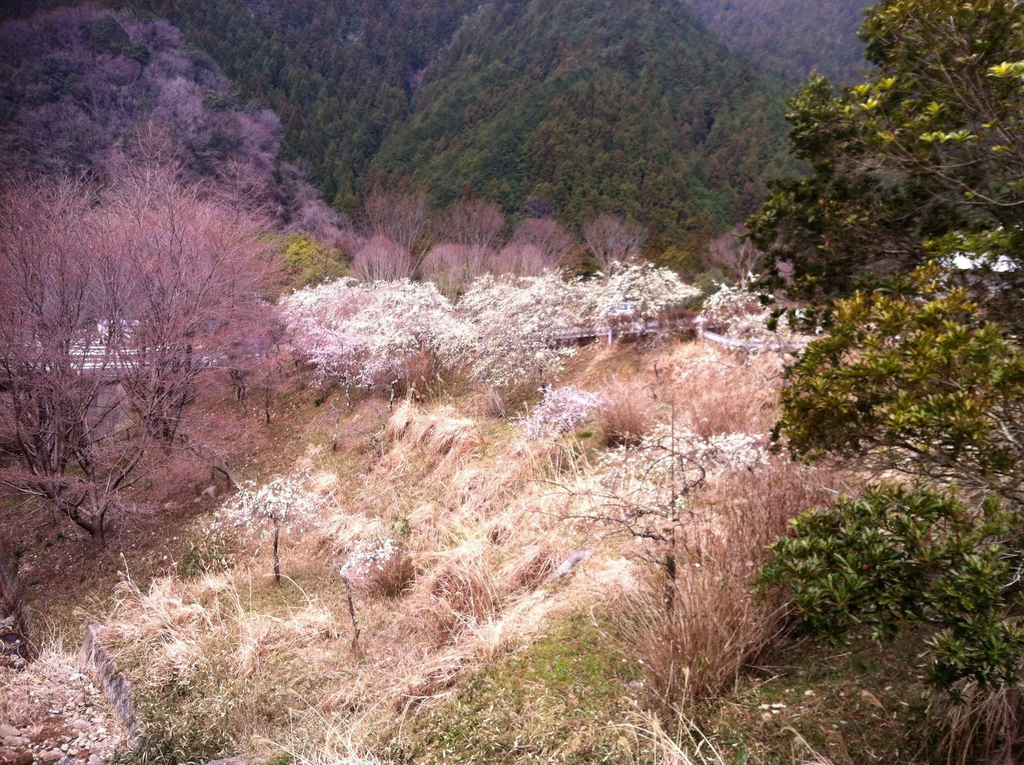 Hinotani Onsen Misugi Resort Tsu Exterior photo